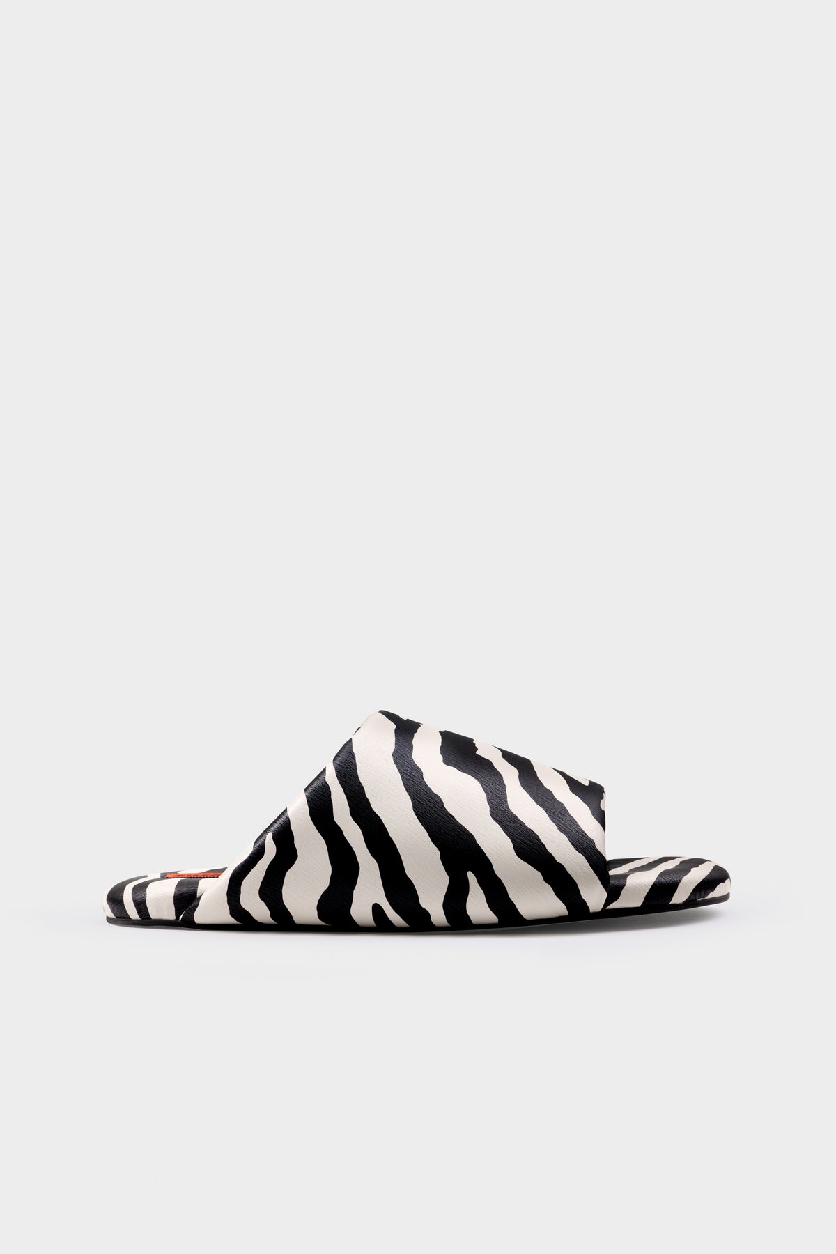 F274-BUBBLESLIDEZEBRA