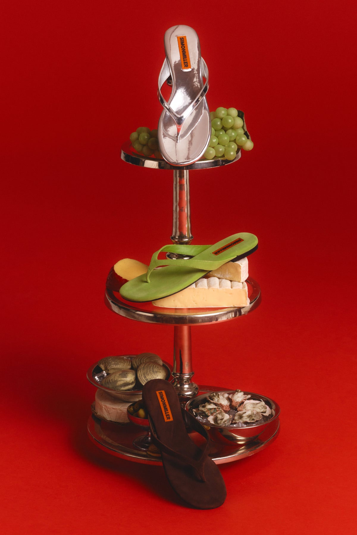 Riviera Thong Sandal In Silver